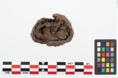 Foto von Eisenkonvolut (NHMW-PRAE-094301)